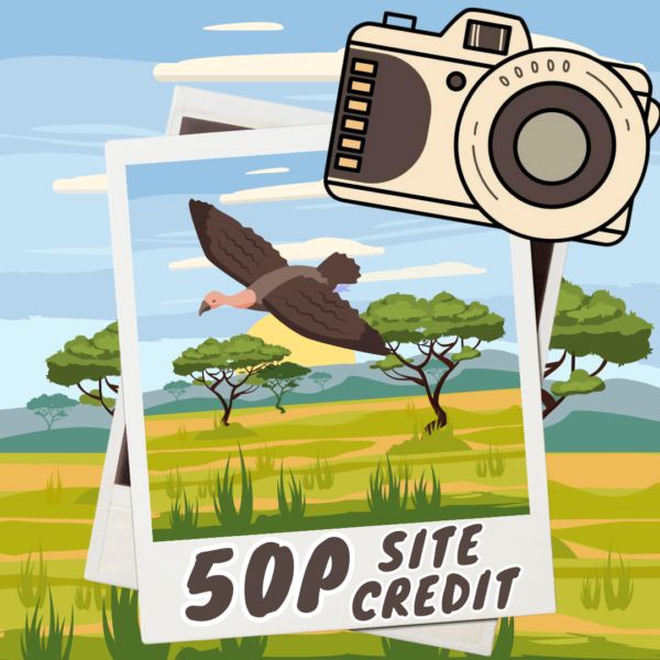 Vulture: 50p Site Credit