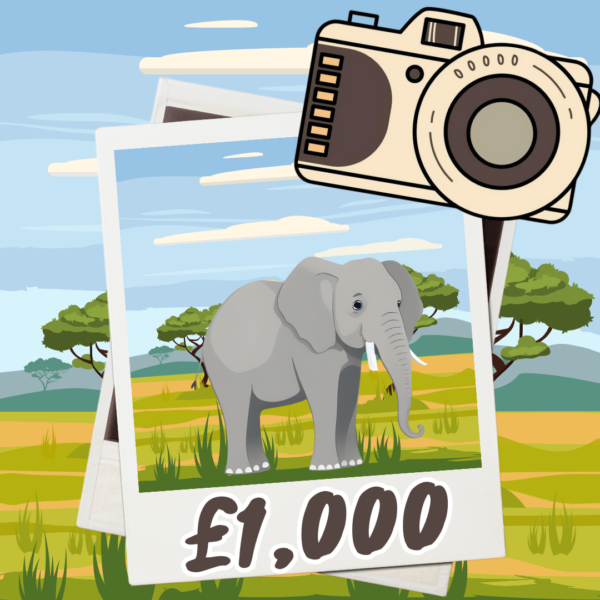 Elephant: £1,000 Cash