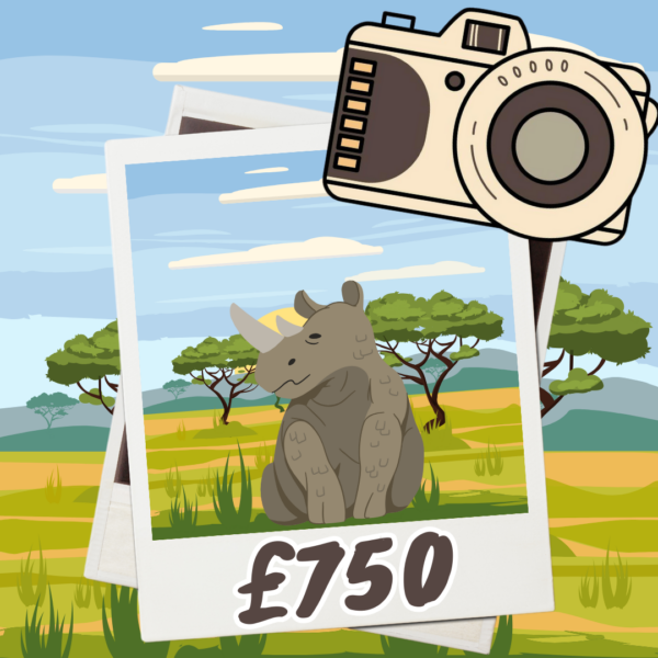 Rhino: £750 Cash