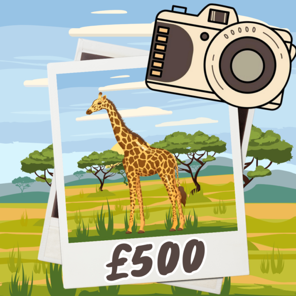 Giraffe: £500 Cash