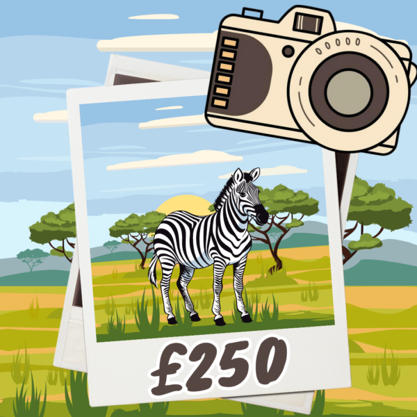 Zebra: £250 Cash