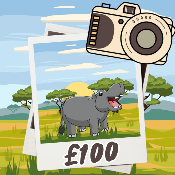 Hippo: £100 Cash