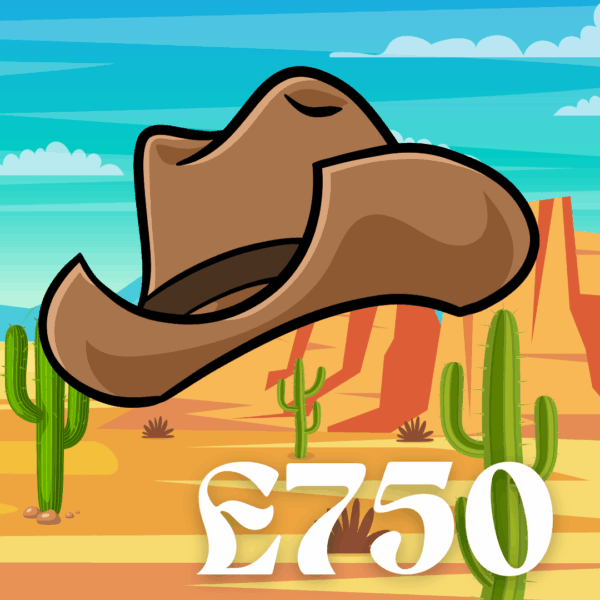 COWBOY HAT - £750 CASH