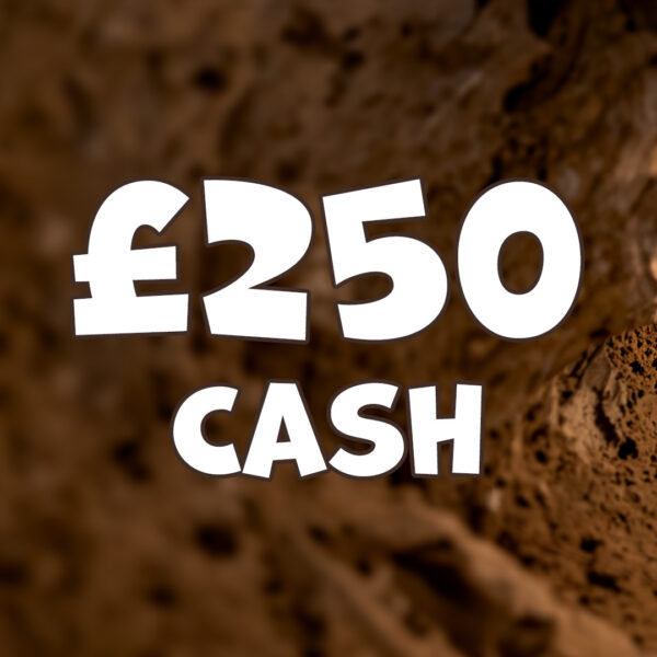 £250 Cash
