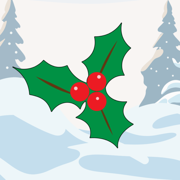 MISTLETOE - £25 CASH