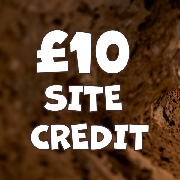 £10 Site Credit