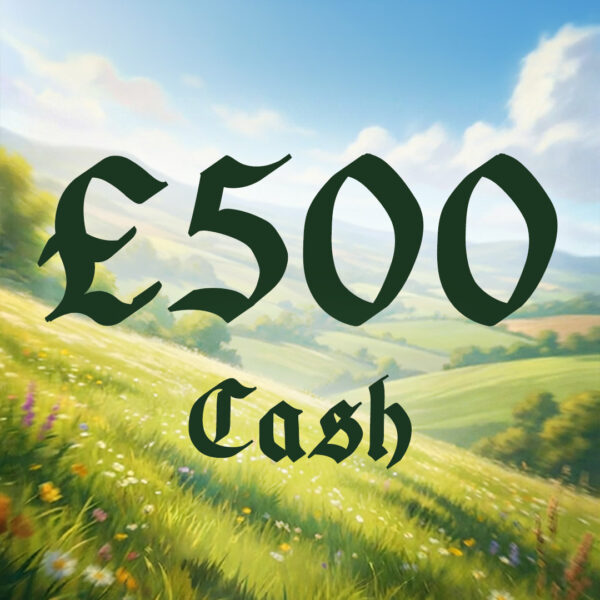 £500 Cash