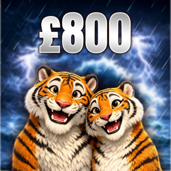 🐅 Tigers | £800 Cash (Doubled If Last In Set)