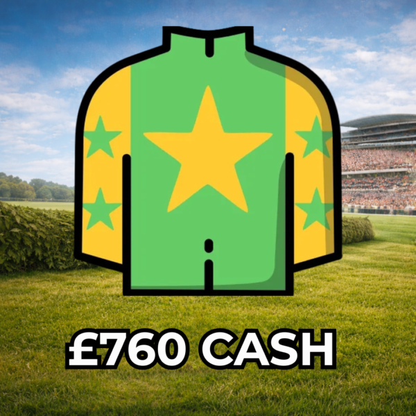 Gorgeous Tom - £760 Cash