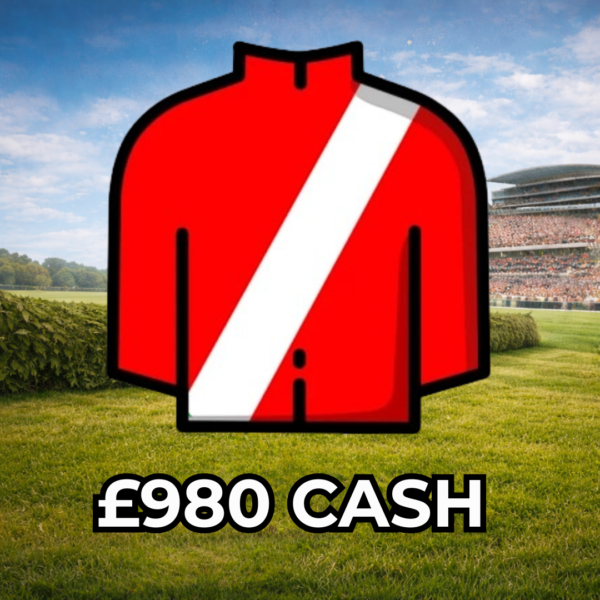 Grangeclare West - £980 Cash
