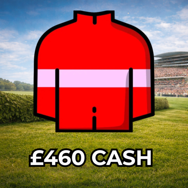 High Class Hero - £460 Cash