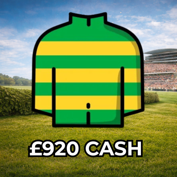 Oscars Brother - £920 Cash